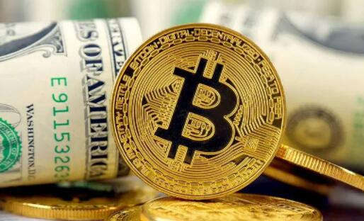 USDT官方下载网址的用户指南与支持信息_指南app_指南下载