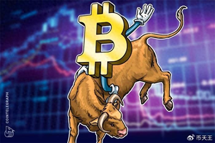 如何通过比特币交易软件进行止损与止盈设置？_比特币止损什么意思_比特币止损点怎么设置