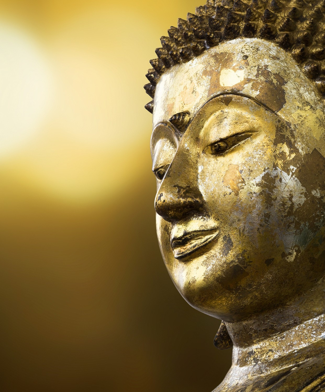 数字创意产业发展_数字创意文化产业_分析数字资产如何促进文化传承：支持艺术与创意产业的可持续发展