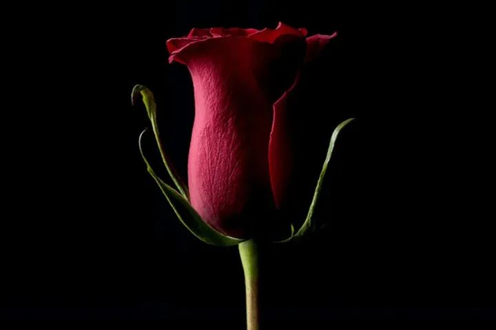 艺术投资市场_NFT艺术市场的崛起：如何影响艺术创作与投资的传统模式_艺术投资手段