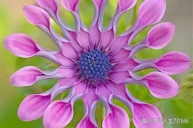 胖东来：坚守品质与创新，在中国商业海洋中扬帆的梦想之船