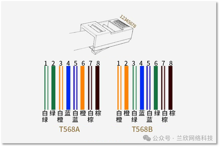 网线连接器使用方法_网线连接器怎么连接_TP-LINK路由器网线连接时的设备操作步骤