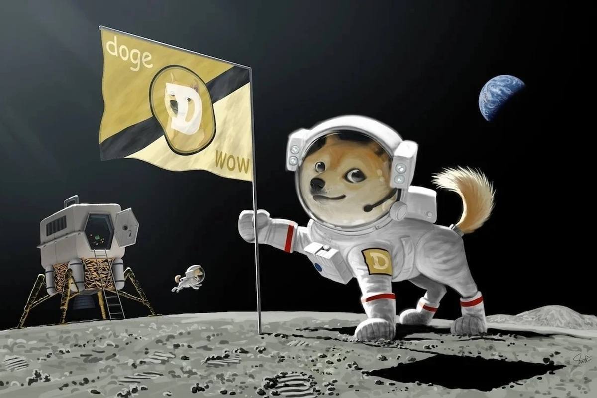 狗狗币潜力_狗狗价值鉴定_参与狗狗币的创新项目：如何评估其潜在价值