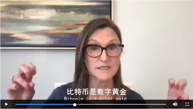 狗狗币潜力_狗狗价值鉴定_参与狗狗币的创新项目：如何评估其潜在价值