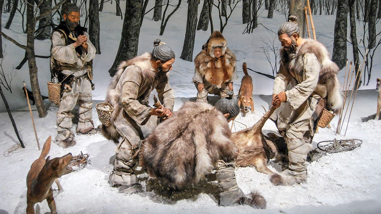 狗狗币潜力_参与狗狗币的创新项目：如何评估其潜在价值_狗狗价值鉴定