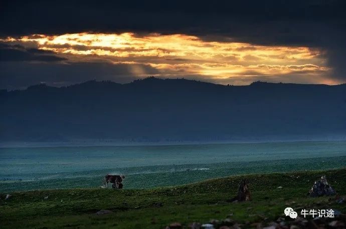 钱包token_钱包科技_如何通过imtoken钱包提升投资技能与知识？