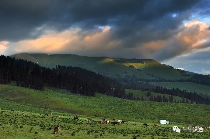 钱包科技_钱包token_如何通过imtoken钱包提升投资技能与知识？