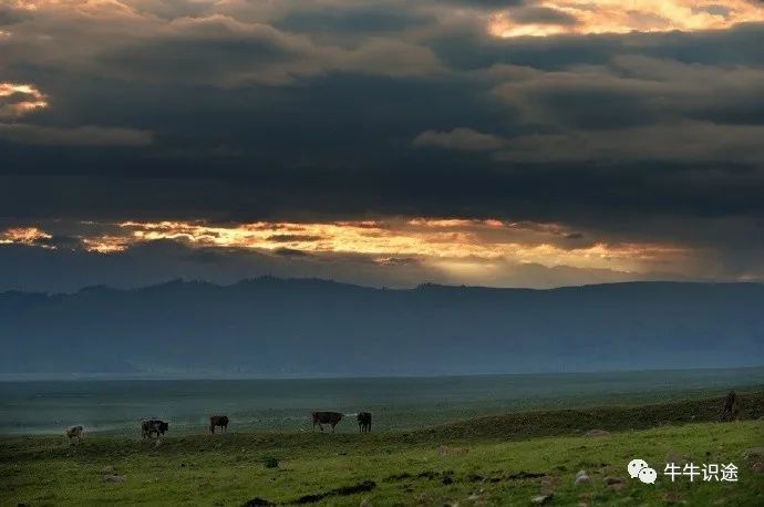 如何通过imtoken钱包提升投资技能与知识？_钱包token_钱包科技