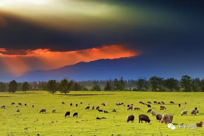 钱包科技_如何通过imtoken钱包提升投资技能与知识？_钱包token