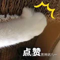 小米手机的优势在于性价比？_小米是性价比之王吗_小米的性价比高不高