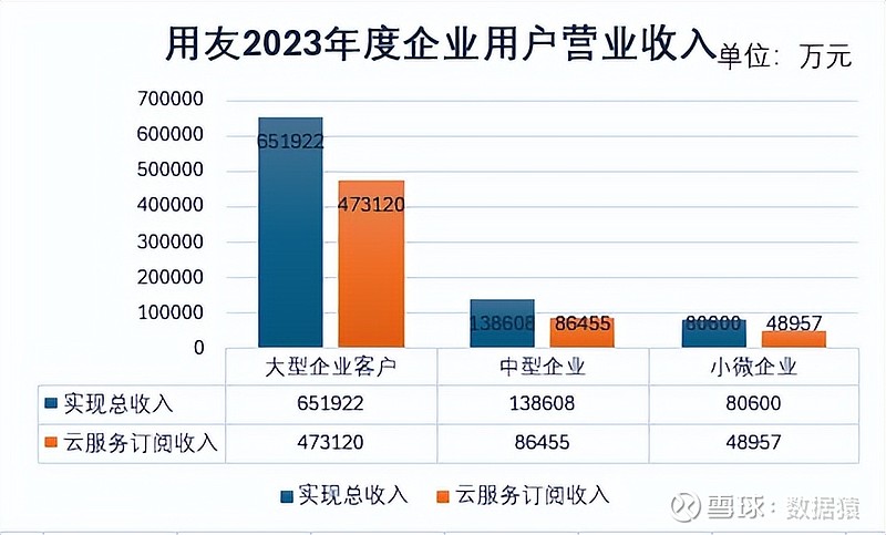 预算出现的问题_预算亏损：2024年39家公司面临的挑战与战略调整_预算亏损是什么意思