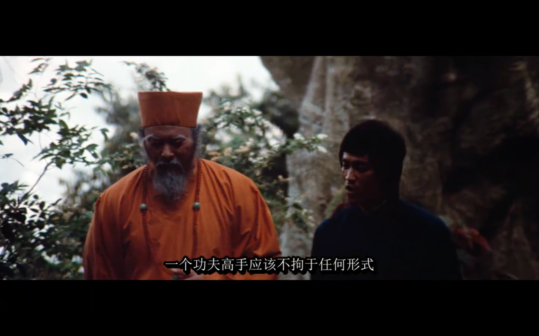 武术奇才李连杰_武术李连杰_李连杰与当代武术家的互动