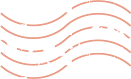 小米汽车资质_小米汽车车型_用户反馈如何塑造小米汽车的质量标准？