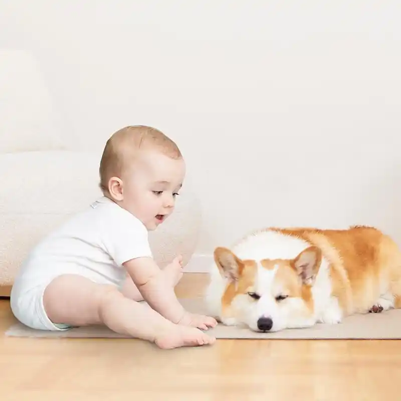 从容应对生活各类需求的小米全屋系统_从容应对生活各类需求的小米全屋系统_从容应对生活各类需求的小米全屋系统