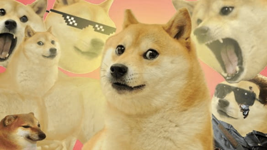 推特支付功能开启，狗狗币逆势上涨23%，10年发展再登风口浪尖