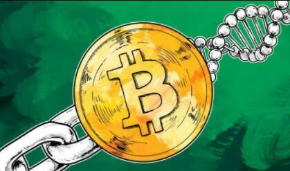 央行推出数字货币新闻_如何通过新闻和舆论选择数字货币_最新数字货币新闻