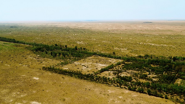 中兴的成长战略_探索中兴在可持续发展方面的努力_中兴的发展战略