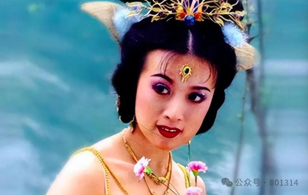 金巧巧的成长与蜕变：从书香门第到荧幕孔雀的璀璨人生