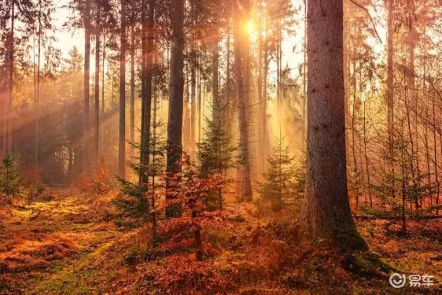 小米汽车如何应对市场竞争中的质量挑战？_如何看待小米进军汽车行业_小米进军汽车行业案例分析