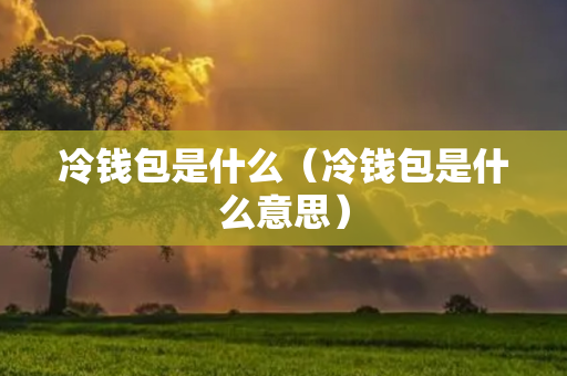 钱包市场现状分析_热钱包和冷钱包的市场趋势 | 哪种存储方式更受欢迎？_钱包行业发展前景
