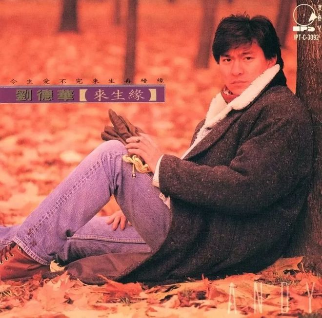 刘德华的电影配乐与音乐贡献_刘德华电影经典配乐_刘德华的电影音乐