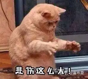 安全稳定的智能家居网络：小米全屋系统的保障_小米wifi里智能家居是什么_小米智能家居组网系统