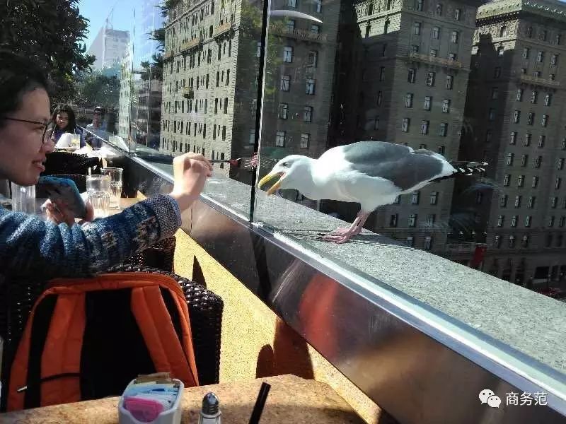 爱上小米手机的理由：亲身体验分享_小米爱好者_小米爱什么