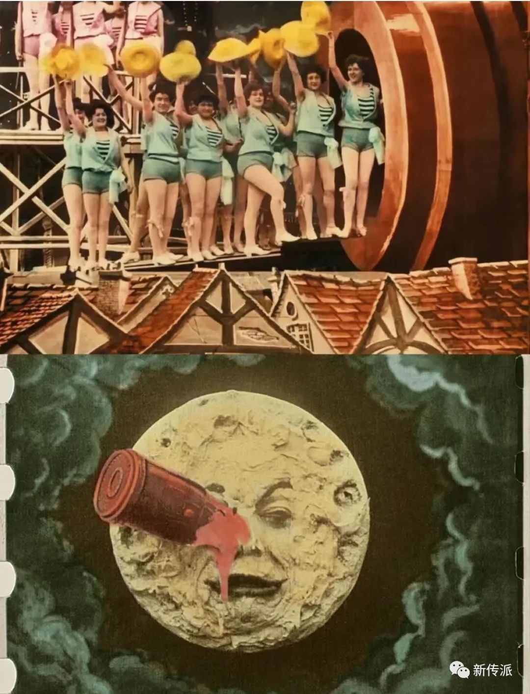 张雨绮的经典影视作品中的幽默_张雨绮搞笑_张雨绮搞笑担当