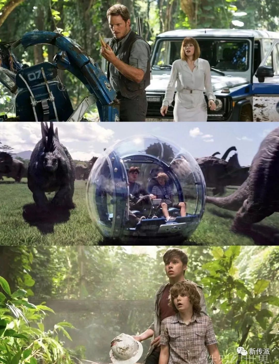 张雨绮搞笑_张雨绮的经典影视作品中的幽默_张雨绮搞笑担当