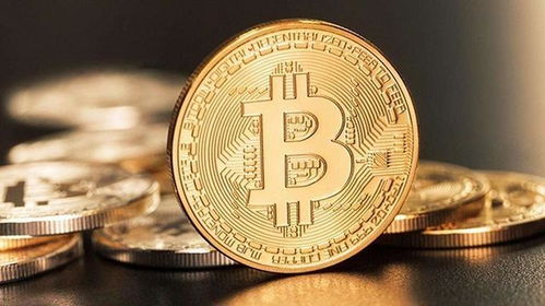 比特币一颗多少钱