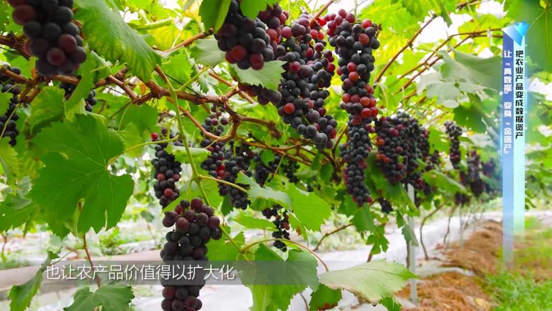 资产优化方案_什么叫资产优化_如何利用USDT进行资产优化