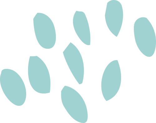 小米科技_小米科技改变生活_体验科技与生活的融合：小米全屋智能