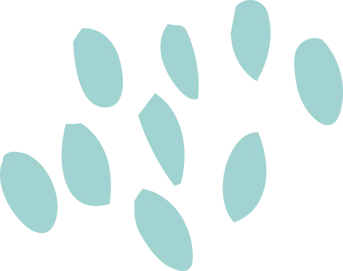 小米科技改变生活_小米科技_体验科技与生活的融合：小米全屋智能