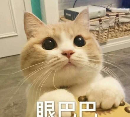 智能家居新趋势：如何像电影主角一样享受高科技生活？米家智能家居推荐