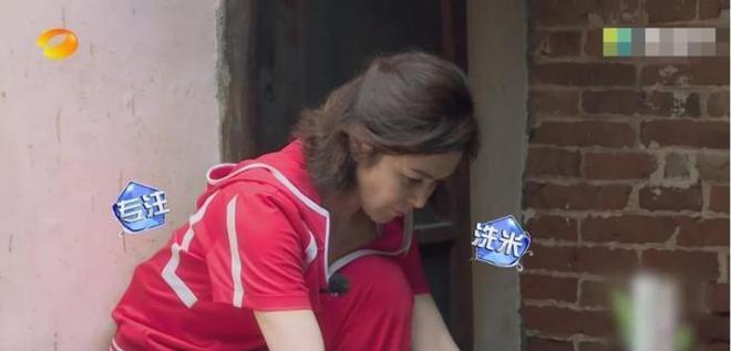 关之琳综艺节目视频_关之琳的综艺节目表现_关之琳内地综艺视频