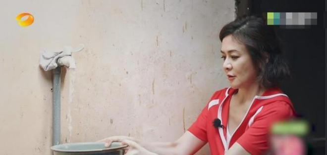 关之琳综艺节目视频_关之琳内地综艺视频_关之琳的综艺节目表现