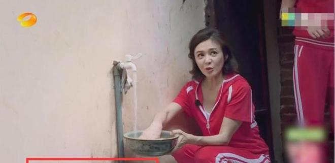 关之琳综艺节目视频_关之琳内地综艺视频_关之琳的综艺节目表现