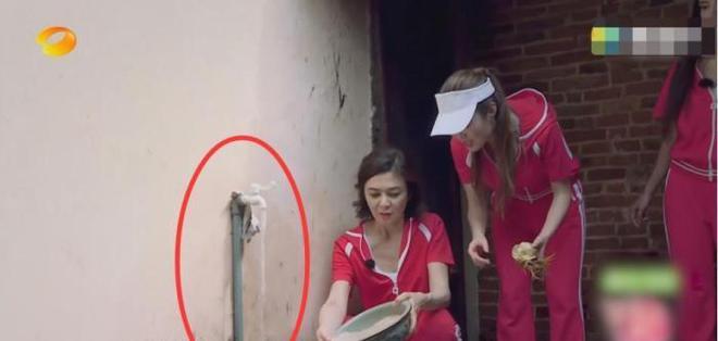 关之琳的综艺节目表现_关之琳综艺节目视频_关之琳内地综艺视频