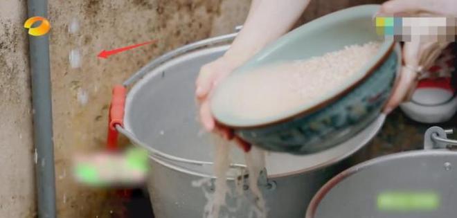 关之琳的综艺节目表现_关之琳综艺节目视频_关之琳内地综艺视频