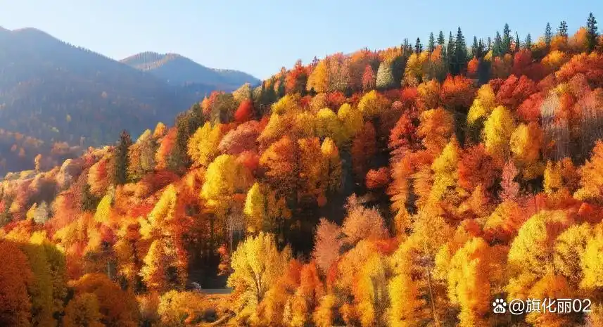 深入讨论数字货币的币种多样化：如何提升投资组合的抗风险能力_货币形态多样化_货币多元化的好处