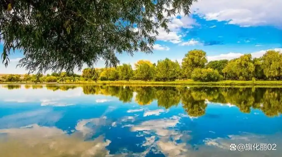 货币多元化的好处_货币形态多样化_深入讨论数字货币的币种多样化：如何提升投资组合的抗风险能力