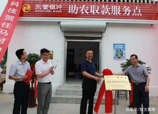 构建普惠金融数字化平台_数字资产在金融普惠中的作用：为不同社群提供平等的经济机会_数字普惠金融机构