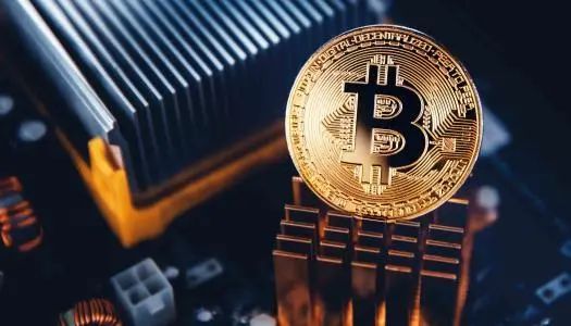 货币因素有哪些_选择数字货币的心理因素分析_货币中心理论