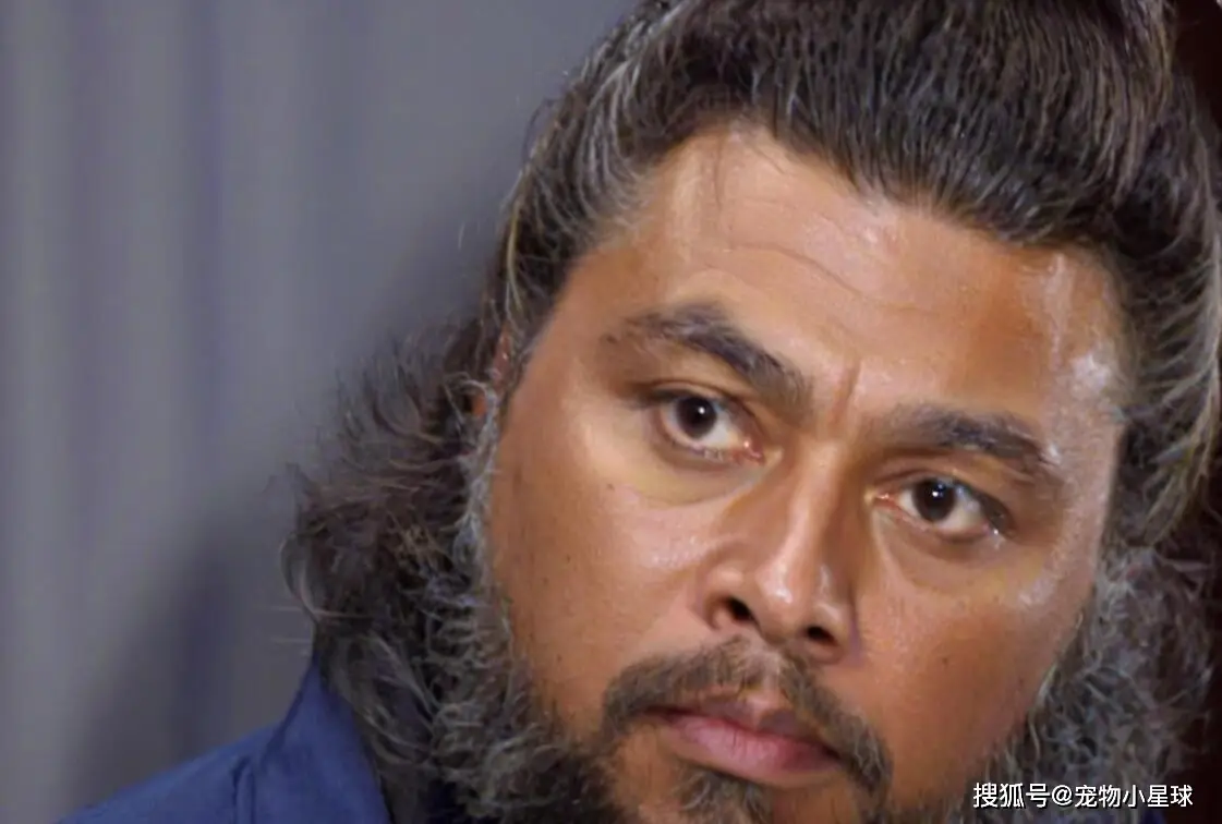 西汉名相萧何：功高至伟的忠诚贤相与自污以避免猜忌的双面人生