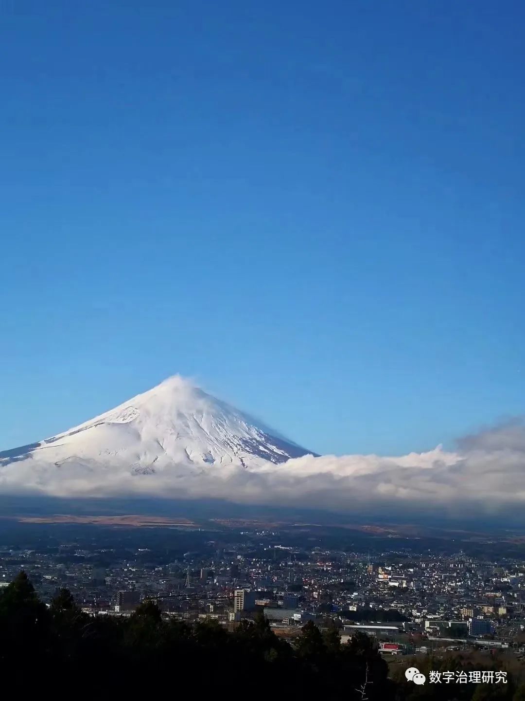探索元宇宙经济生态与DAO法律逻辑：新型数字治理的前沿分析