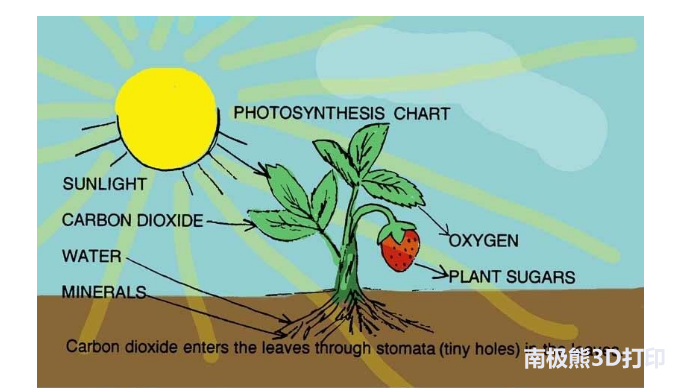 TPU在建筑行业中的应用潜力_TPU在建筑行业中的应用潜力_TPU在建筑行业中的应用潜力
