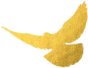 数字化浪潮下央行数字货币及mBridge项目的变革与进展梳理